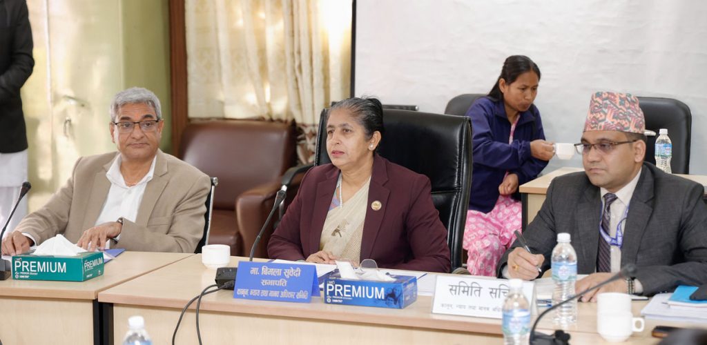 तीनकुने घटनामा मानव अधिकारको गम्भीर उल्लंघन : संसदीय समिति