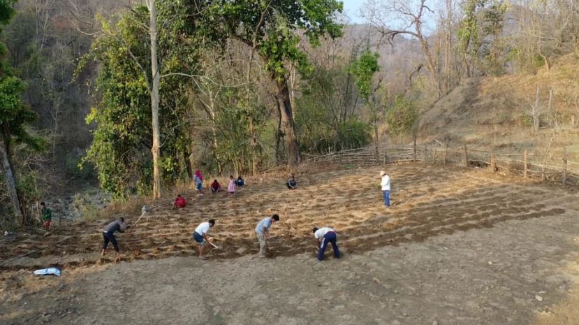 महासचिव विप्लवद्वारा कृषि जनकम्युनमा खुर्सानी रोपण, आत्मनिर्भरतामा जोड